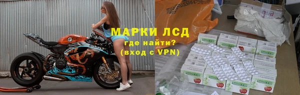 прущие грибы Алексеевка